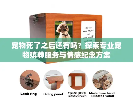 宠物死了之后还有吗？探索专业宠物殡葬服务与情感纪念方案