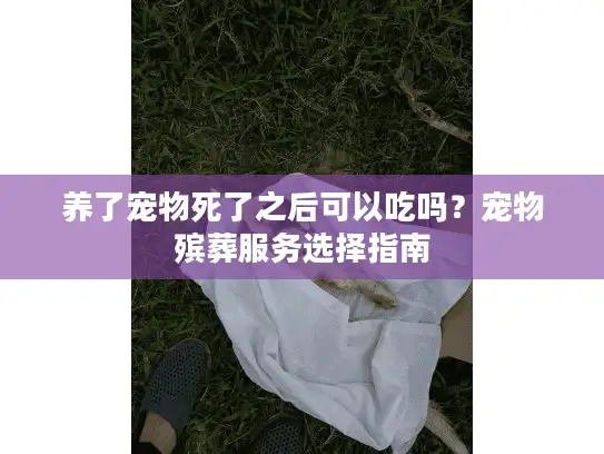 养了宠物死了之后可以吃吗？宠物殡葬服务选择指南