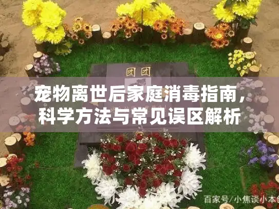 宠物离世后家庭消毒指南，科学方法与常见误区解析