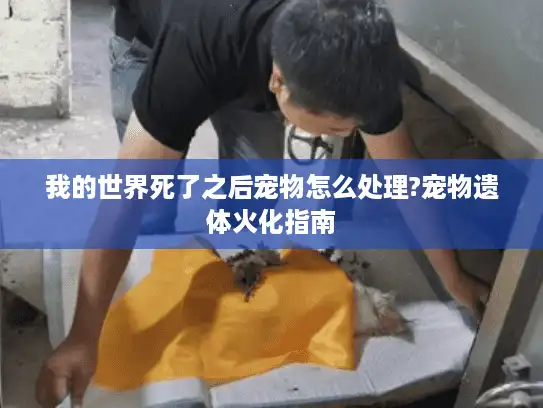 我的世界死了之后宠物怎么处理?宠物遗体火化指南