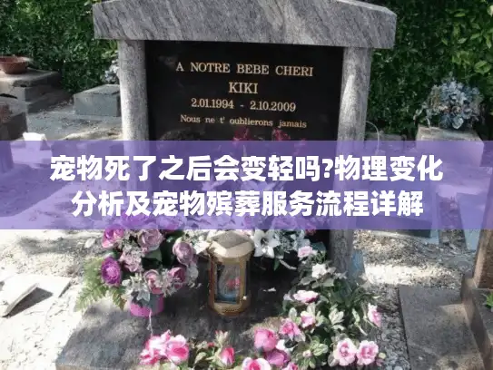 宠物死了之后会变轻吗?物理变化分析及宠物殡葬服务流程详解