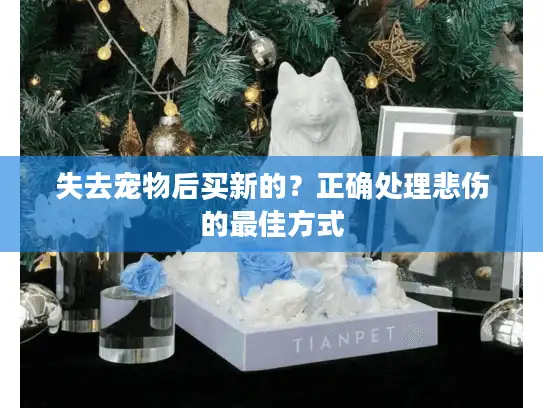 失去宠物后买新的？正确处理悲伤的最佳方式