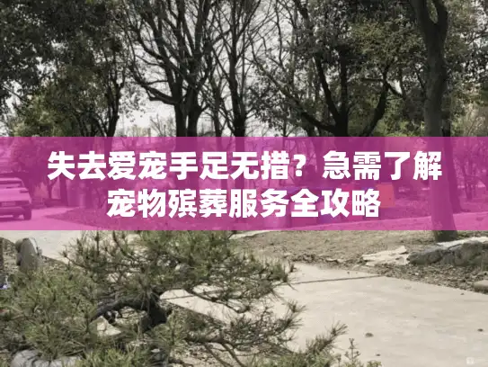 失去爱宠手足无措？急需了解宠物殡葬服务全攻略