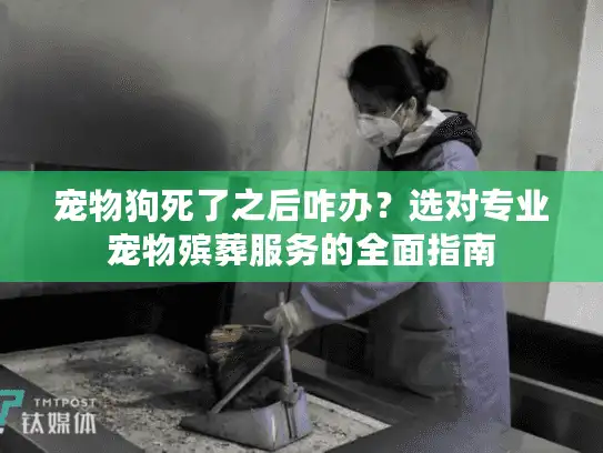 宠物狗死了之后咋办？选对专业宠物殡葬服务的全面指南