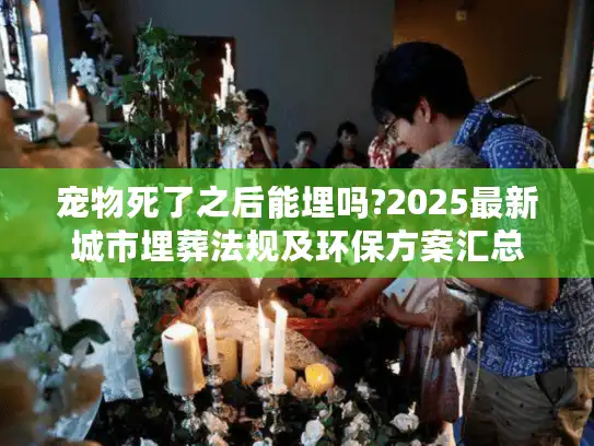 宠物死了之后能埋吗?2025最新城市埋葬法规及环保方案汇总