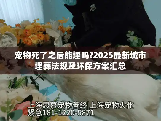 宠物死了之后能埋吗?2025最新城市埋葬法规及环保方案汇总
