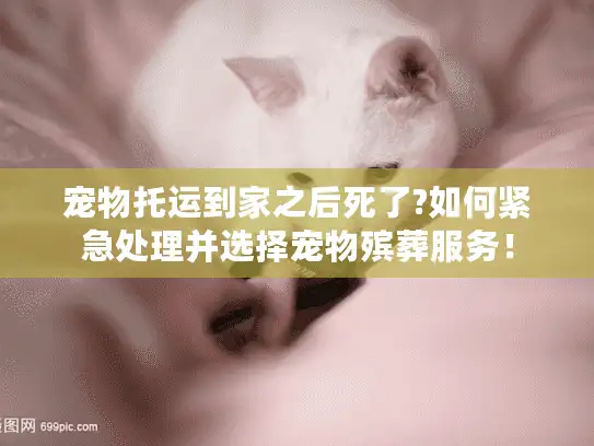 宠物托运到家之后死了?如何紧急处理并选择宠物殡葬服务！