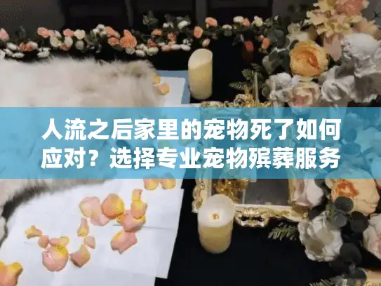 人流之后家里的宠物死了如何应对？选择专业宠物殡葬服务指南