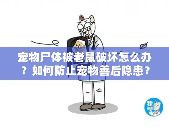 宠物尸体被老鼠破坏怎么办？如何防止宠物善后隐患？