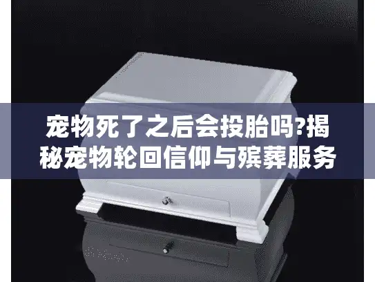 宠物死了之后会投胎吗?揭秘宠物轮回信仰与殡葬服务指南
