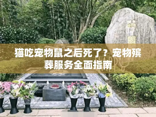 猫吃宠物鼠之后死了？宠物殡葬服务全面指南