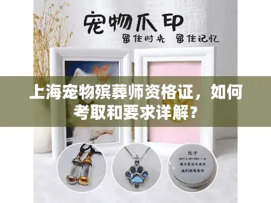 上海宠物殡葬师资格证，如何考取和要求详解？