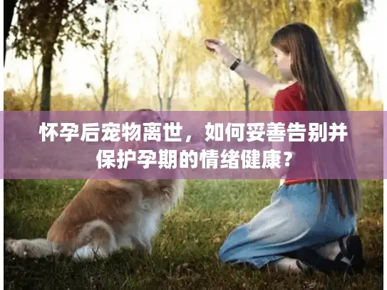 怀孕后宠物离世，如何妥善告别并保护孕期的情绪健康？