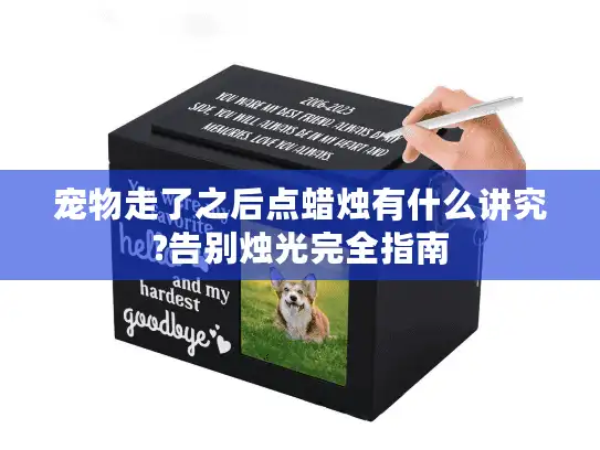宠物走了之后点蜡烛有什么讲究?告别烛光完全指南