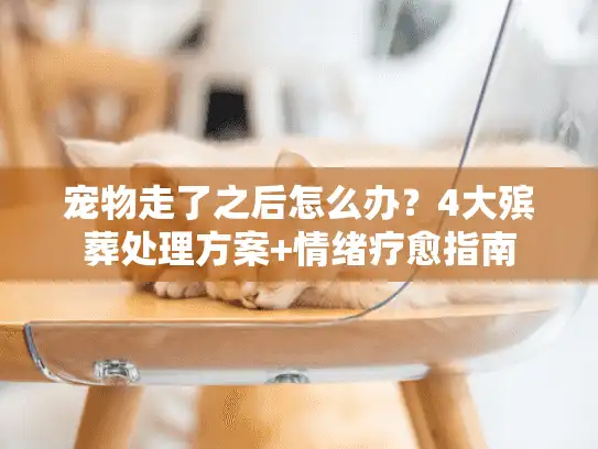 宠物走了之后怎么办？4大殡葬处理方案+情绪疗愈指南