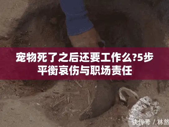 宠物死了之后还要工作么?5步平衡哀伤与职场责任