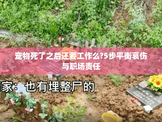 宠物死了之后还要工作么?5步平衡哀伤与职场责任