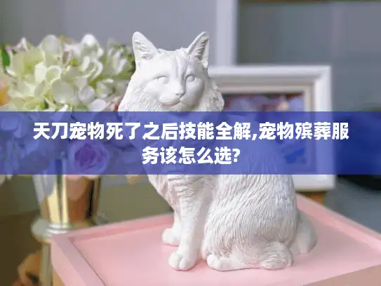 天刀宠物死了之后技能全解,宠物殡葬服务该怎么选?