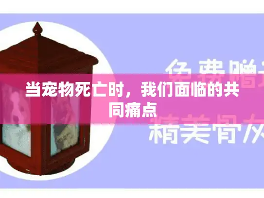 当宠物死亡时，我们面临的共同痛点