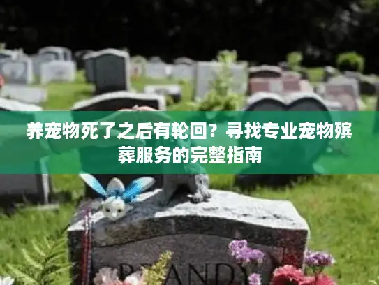 养宠物死了之后有轮回？寻找专业宠物殡葬服务的完整指南