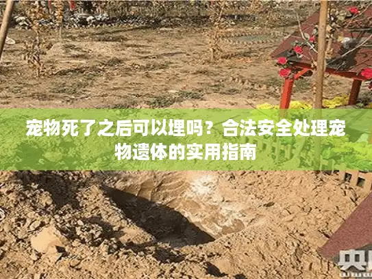 宠物死了之后可以埋吗？合法安全处理宠物遗体的实用指南