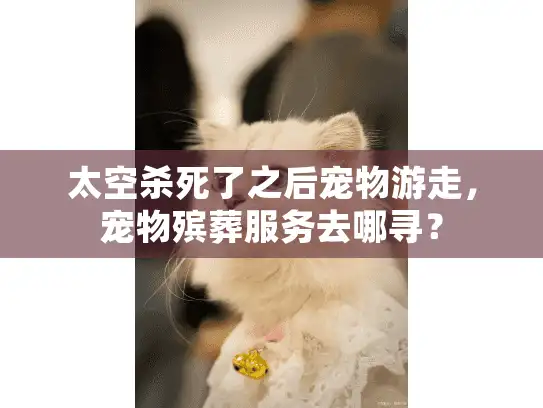 太空杀死了之后宠物游走，宠物殡葬服务去哪寻？