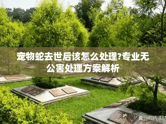 宠物蛇去世后该怎么处理?专业无公害处理方案解析