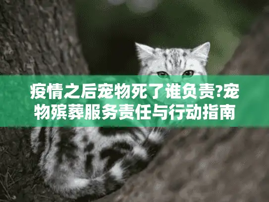 疫情之后宠物死了谁负责?宠物殡葬服务责任与行动指南