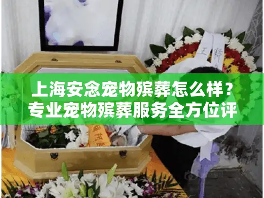 上海安念宠物殡葬怎么样？专业宠物殡葬服务全方位评价