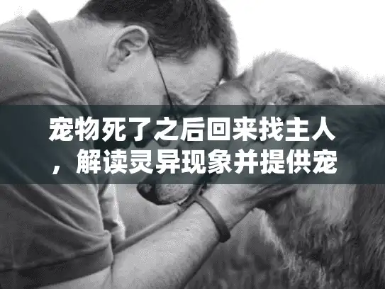 宠物死了之后回来找主人，解读灵异现象并提供宠物殡葬服务指南