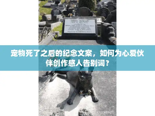 宠物死了之后的纪念文案，如何为心爱伙伴创作感人告别词？