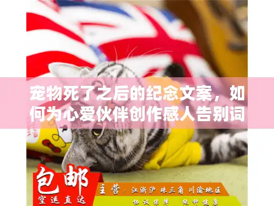 宠物死了之后的纪念文案，如何为心爱伙伴创作感人告别词？