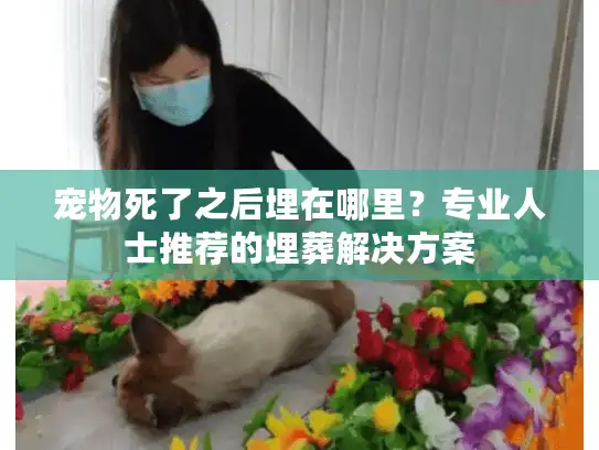 宠物死了之后埋在哪里？专业人士推荐的埋葬解决方案