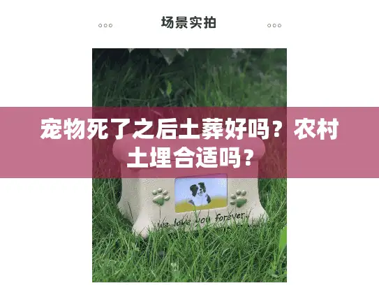 宠物死了之后土葬好吗？农村土埋合适吗？