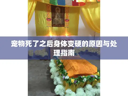 宠物死了之后身体变硬的原因与处理指南