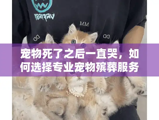 宠物死了之后一直哭，如何选择专业宠物殡葬服务并走出悲伤？