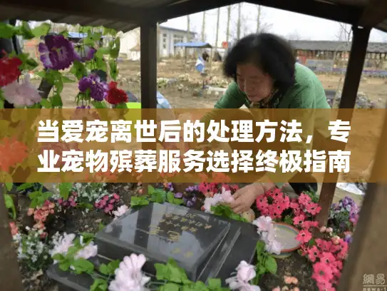 当爱宠离世后的处理方法，专业宠物殡葬服务选择终极指南