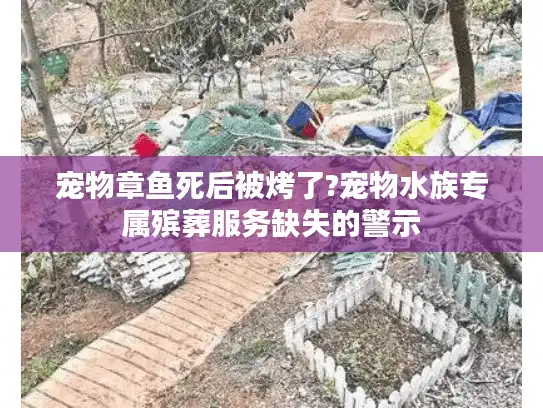宠物章鱼死后被烤了?宠物水族专属殡葬服务缺失的警示