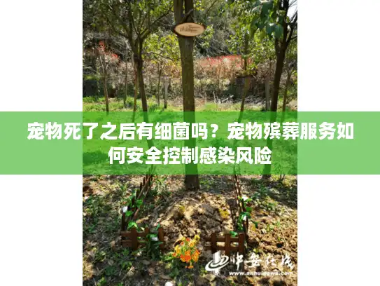 宠物死了之后有细菌吗？宠物殡葬服务如何安全控制感染风险