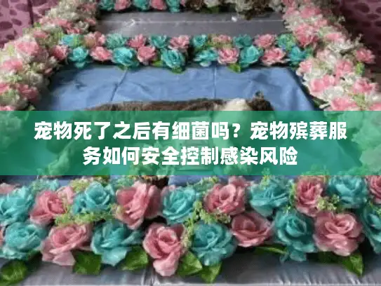 宠物死了之后有细菌吗？宠物殡葬服务如何安全控制感染风险