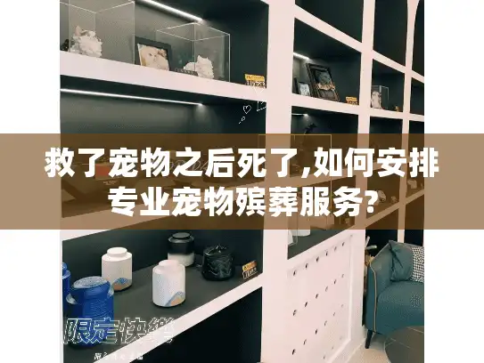 救了宠物之后死了,如何安排专业宠物殡葬服务?