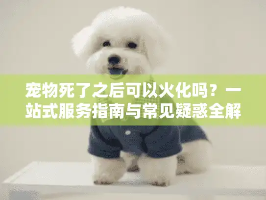 宠物死了之后可以火化吗？一站式服务指南与常见疑惑全解答