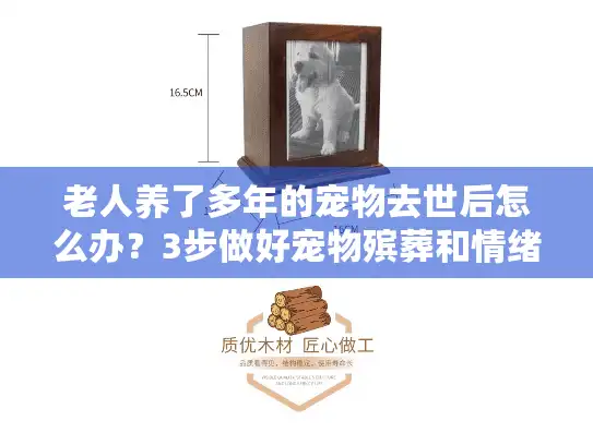 老人养了多年的宠物去世后怎么办？3步做好宠物殡葬和情绪疏导