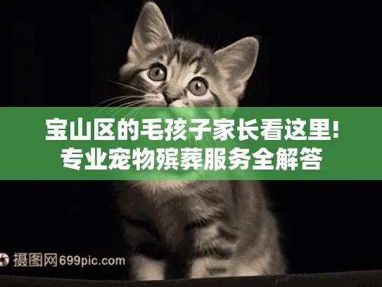 宝山区的毛孩子家长看这里!专业宠物殡葬服务全解答