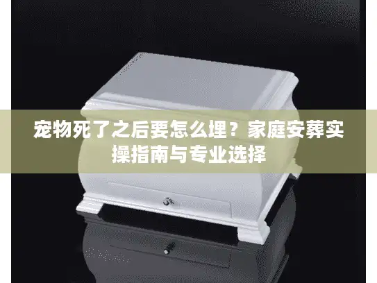 宠物死了之后要怎么埋？家庭安葬实操指南与专业选择