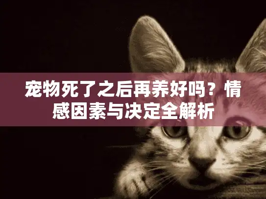 宠物死了之后再养好吗？情感因素与决定全解析