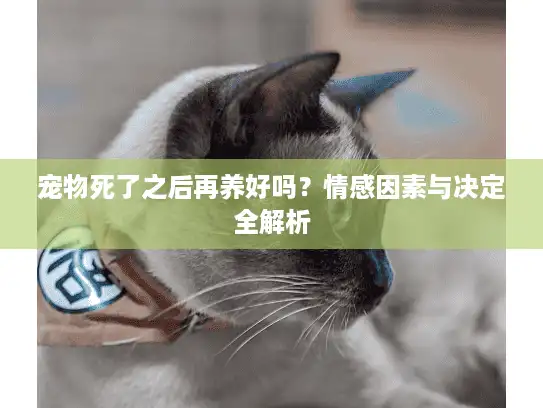 宠物死了之后再养好吗？情感因素与决定全解析