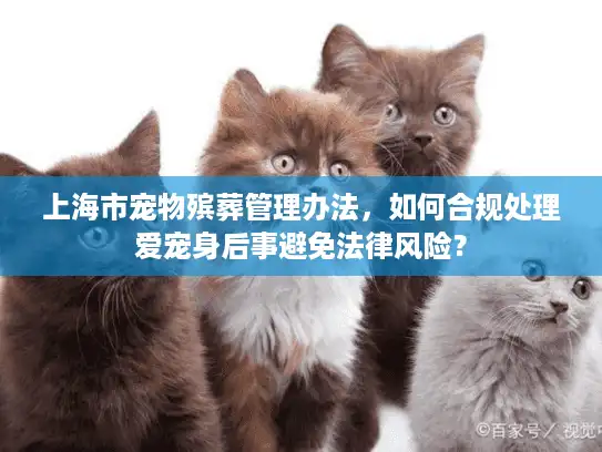 上海市宠物殡葬管理办法，如何合规处理爱宠身后事避免法律风险？