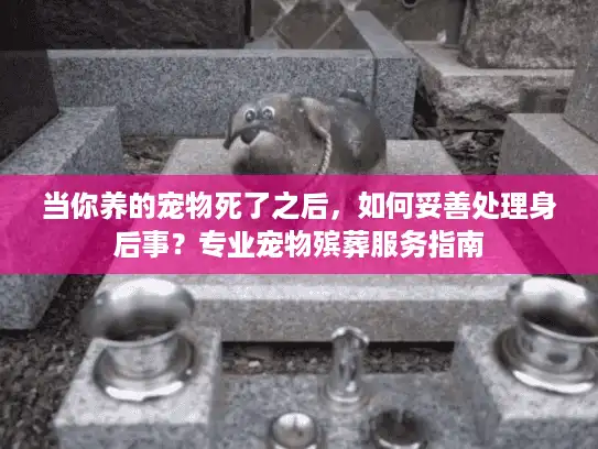 当你养的宠物死了之后，如何妥善处理身后事？专业宠物殡葬服务指南
