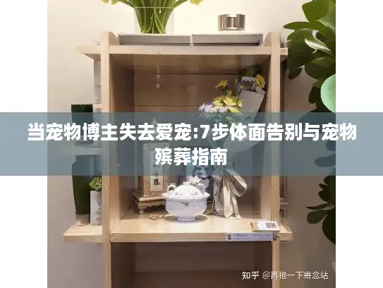 当宠物博主失去爱宠:7步体面告别与宠物殡葬指南